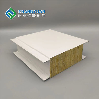 Modern Temiz Oda Duvar Paneli Yangına Dayanıklı Pu Köpük Sandviç Panel
