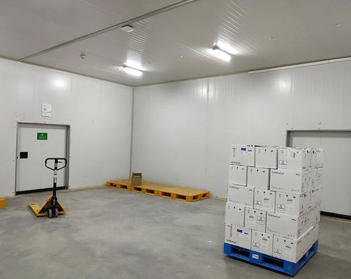 Ateş geçirmez B1/B2 Polyurethane soğuk oda paneli yalıtımlı güvenli güvenli depolama için