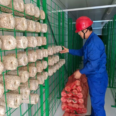 Hassas Çevresel Kontrollü Mantar Yetiştirme Kabı