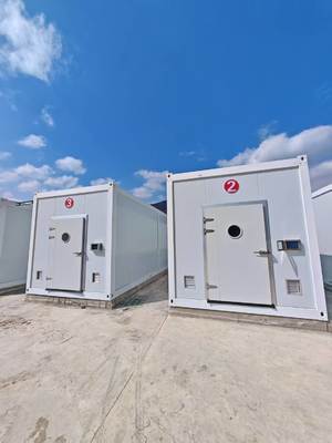 Uzaktan izleme ve standart 20ft veya 40ft konteynerli düşük bakımlı mantar konteyner çiftliği