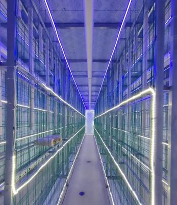 Uzaktan izleme ve standart 20ft veya 40ft konteynerli düşük bakımlı mantar konteyner çiftliği