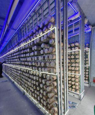 Uzaktan izleme ve standart 20ft veya 40ft konteynerli düşük bakımlı mantar konteyner çiftliği