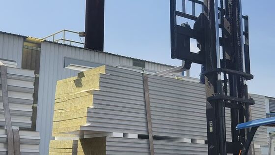 Yüksek Temizlik Ortamları İçin Özelleştirilebilir Kalınlıkta Ses Yalıtımlı Yangın Geciktirici Temiz Oda Sandviç Panel